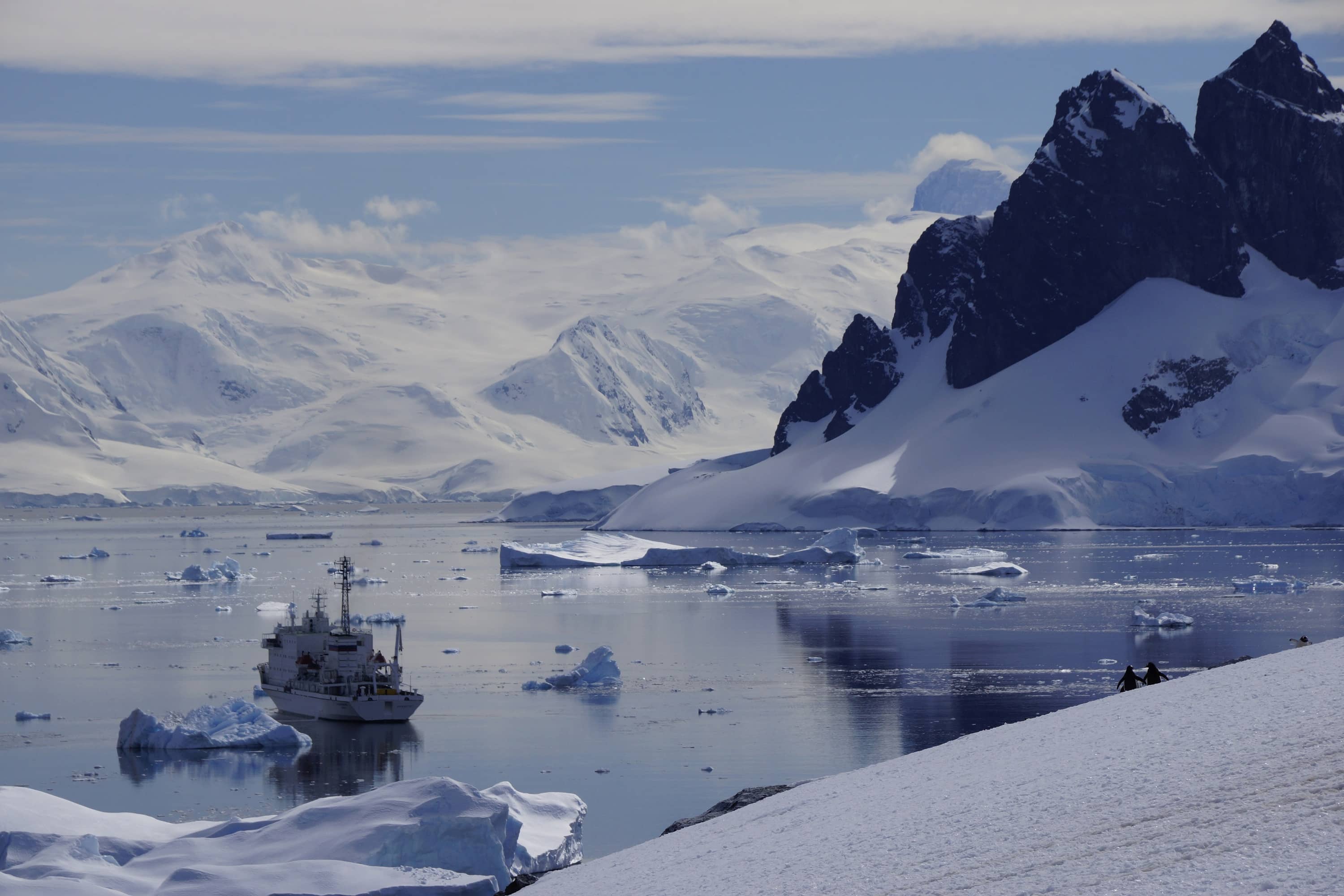 Antarctica​’s warm embrace