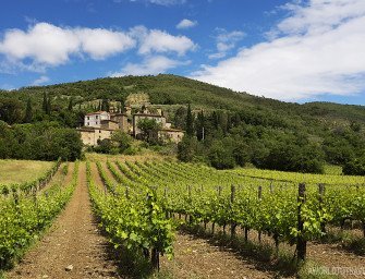 10 Astounding Destinations for Wine Lovers Around The World