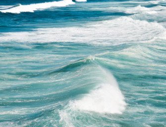 The Best Beaches Of New Zealand