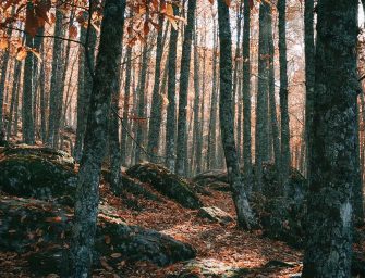Hiking In Spain: 6 Routes You Should Add To Your Bucket List