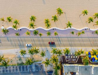 Urban Green Spaces: The Role of Trees in City Travel