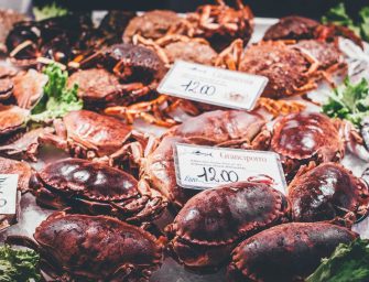 9 Best Travel Destinations for Seafood Lovers