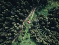 Entrepreneur Ideas: Best Jobs To Work Remotely in 2025