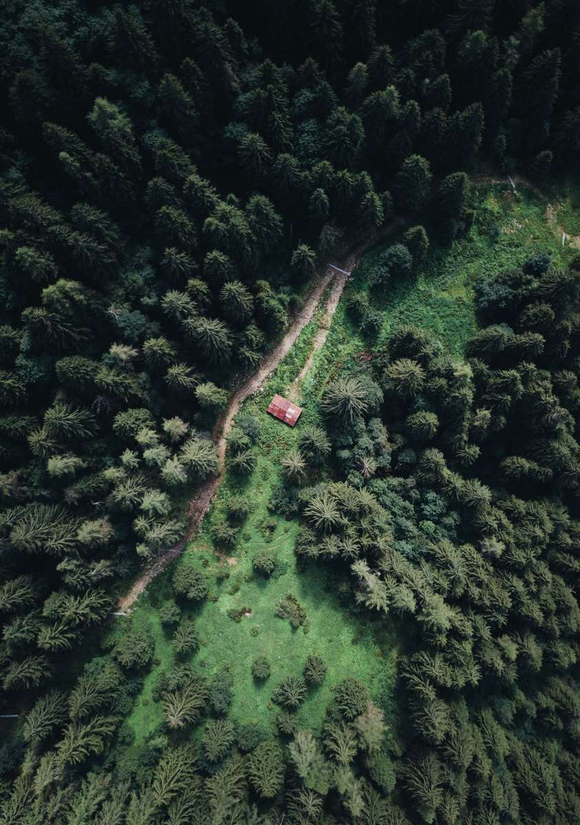 Cabin in the woods – How to work remotely from anywhere in the world