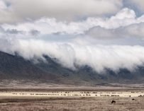 An Outdoor Lover’s Guide to Tanzania’s Best Things to Do