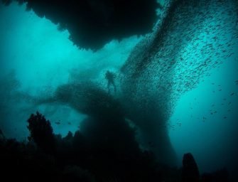 How To Protect the Ocean: 15 Things Divers Can Do To Help