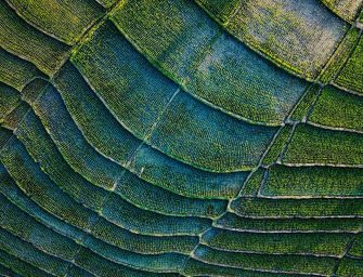 Leave No Trace: Just a Trend or Essential to Our Planet?