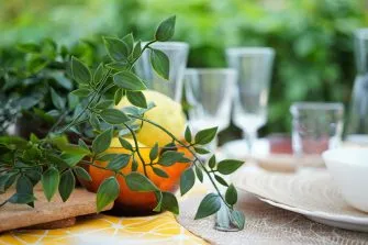 Casa Feliz: An Idyllic Retreat to Explore A Mariña Lucense