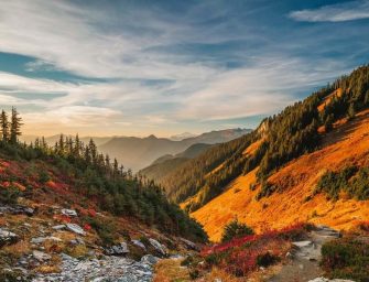 Washington State: 13 Epic Road Trips with Itinerary Maps