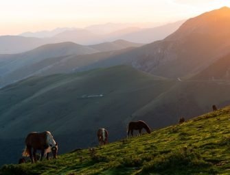 A Motorhome Trip Through Northern Spain: Route, Budget & Tips