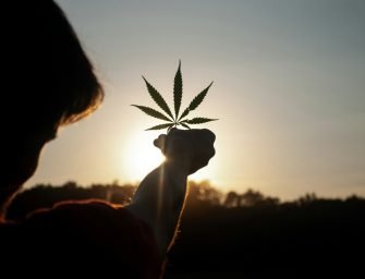 Navigating Cannabis Laws: A Guide for Conscious Travelers