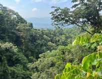 What Is Costa Rica Famous For?