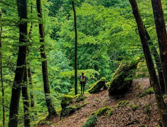 Full-Time Travel with Kids: Embracing Van Life