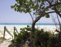 Top Freeport, Bahamas Activities and Attractions In 2024