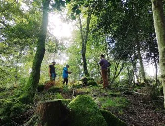 Fixar and the Transformative Power of Rural Coliving in Galicia