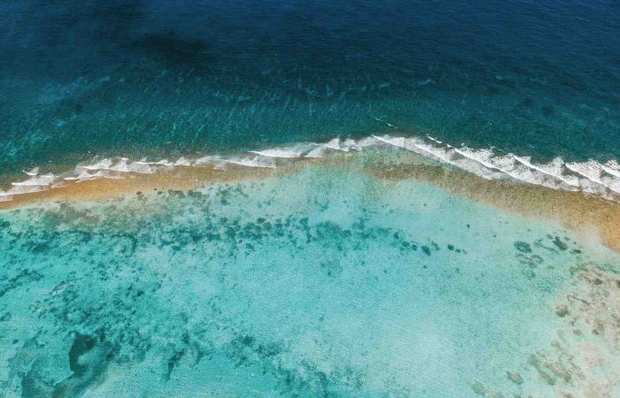 Preserving Paradise: A Guide to Grand Cayman