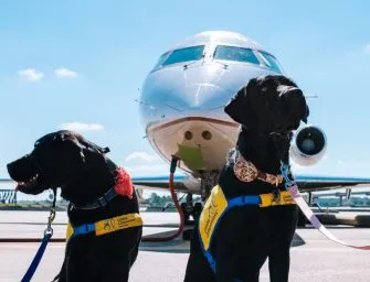 How Airlines Are Adapting to Service Animals